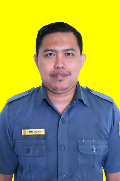 yahya.png